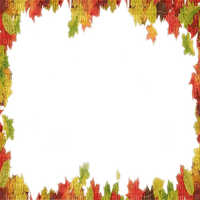 autumn leaves frame automne cadre feuilles - PNG gratuit