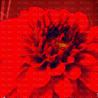 LU / BG / animated.effect.flower.red.idca - Безплатен анимиран GIF