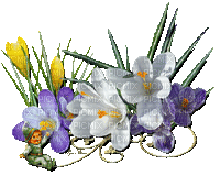 Frühling, Blumen, Flowers, Zwerg - Ingyenes animált GIF