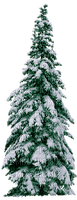 Winter.Hiver.Arbre.Tree.Pine.Victoriabea