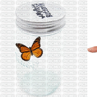 butterfly in glas - GIF animate gratis