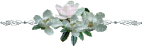 Flower - Besplatni animirani GIF