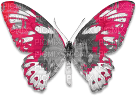 soave deco butterfly black white pink - kostenlos png
