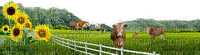 Bauernhof - PNG gratuit