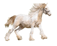 beautiful horse - PNG gratuit