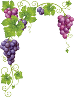 grapes   Bb2 - PNG gratuit