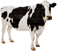 cow per request - ücretsiz png