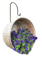 Bloemen en planten - besplatni png