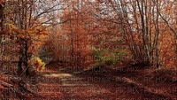 maisema landscape syksy autumn - ücretsiz png
