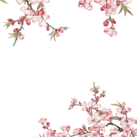 Flower Frame - png grátis
