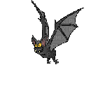 Fledermaus - Darmowy animowany GIF