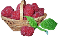 rasberries, vadelmat - gratis png