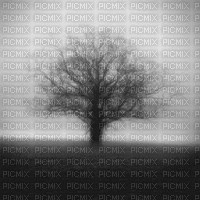 Winter Oak - Besplatni animirani GIF