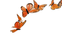 orange butterflys tube - безплатен png
