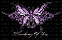 Schmetterling,  butterfly - 免费动画 GIF