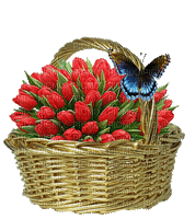 fleurs et papillon - Бесплатный анимированный гифка