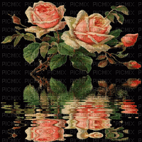 vintage roses background - Gratis geanimeerde GIF