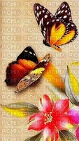 fundo deco borboletas - zdarma png