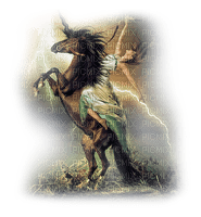 woman with horse bp - png gratis
