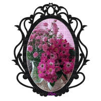 Miroir fleuri - png gratis
