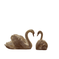 cisne swan cygne Rosalia73 - δωρεάν png