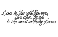 Love is like wildflowers - PNG gratuit