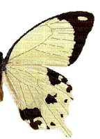 Schmetterlingsflügel - zdarma png