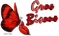 gros bisous papillon - Zdarma animovaný GIF