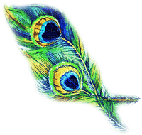 soave deco peacock feathers blue yellow green - фрее пнг