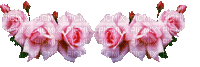 Rosas - Darmowy animowany GIF