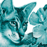 Y.A.M._Art Fantasy cat blue - bezmaksas png