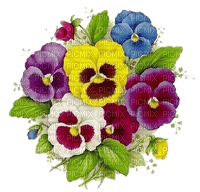 Blumen, Stiefmütterchen, Flowers - png gratuito