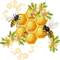soave bee honey deco scrap background transparent - ingyenes png