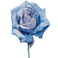 blue rose Bb2 - PNG gratuit