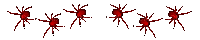 spiders - Darmowy animowany GIF