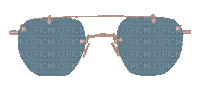 glasses - Ücretsiz animasyonlu GIF