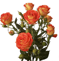 Flores rosas anaranjadas - gratis png