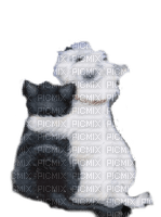 cat dog hugs chat chien amitê - PNG gratuit