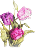 soave deco flowers spring tulips pink green - besplatni png