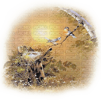 AVES - kostenlos png