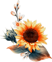 soave deco flowers sunflowers branch blue orange - Free PNG