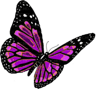 Kaz_Creations Deco Butterflies Butterfly Colours - nemokama png