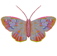 butterfly - Ilmainen animoitu GIF