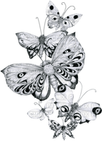papillons - png gratuito