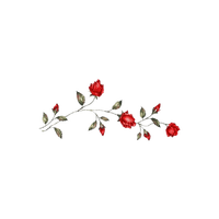 branche de roses - PNG gratuit