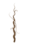 roots - nemokama png