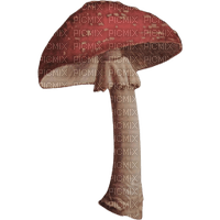 Mushroom - besplatni png