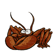 zodiac crabs - GIF animate gratis