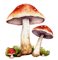 Musshrooms - Watercolor - Free PNG