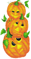 hal citrouille orange - GIF animate gratis